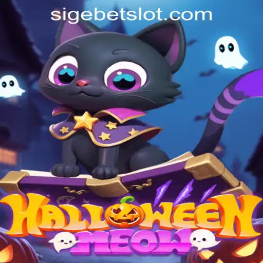 Unlocking the Mysteries of HalloweenMeow: SIGEBET's Latest Thrill